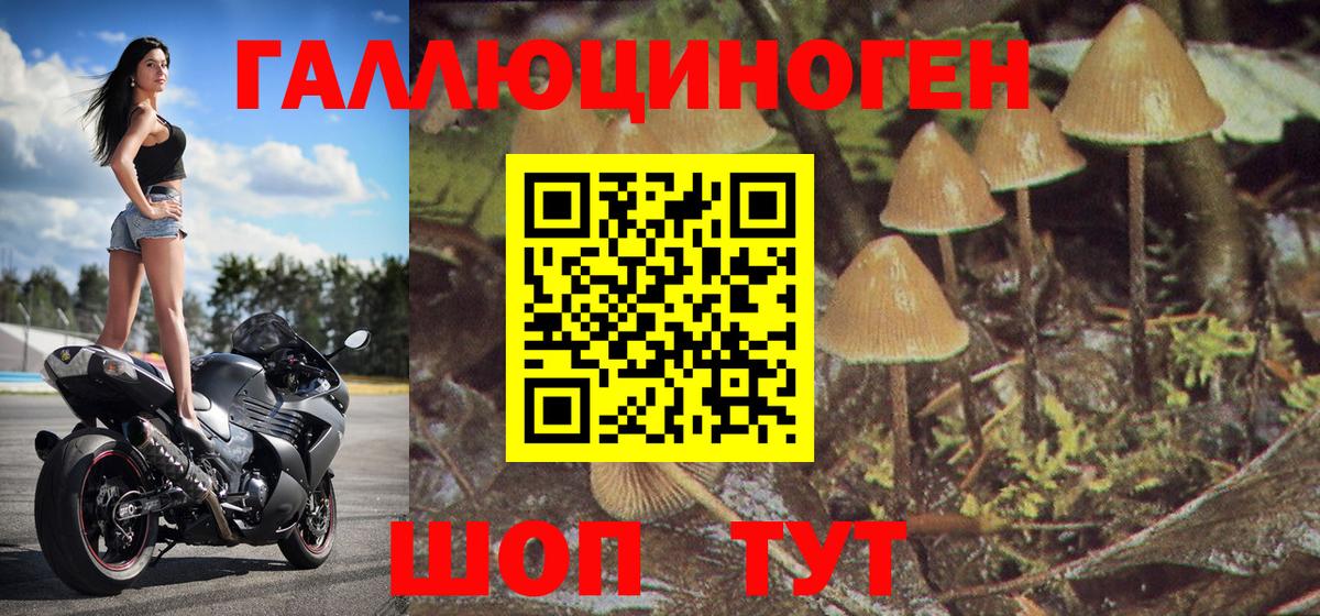 Галлюциногенные грибы мицелий Тара